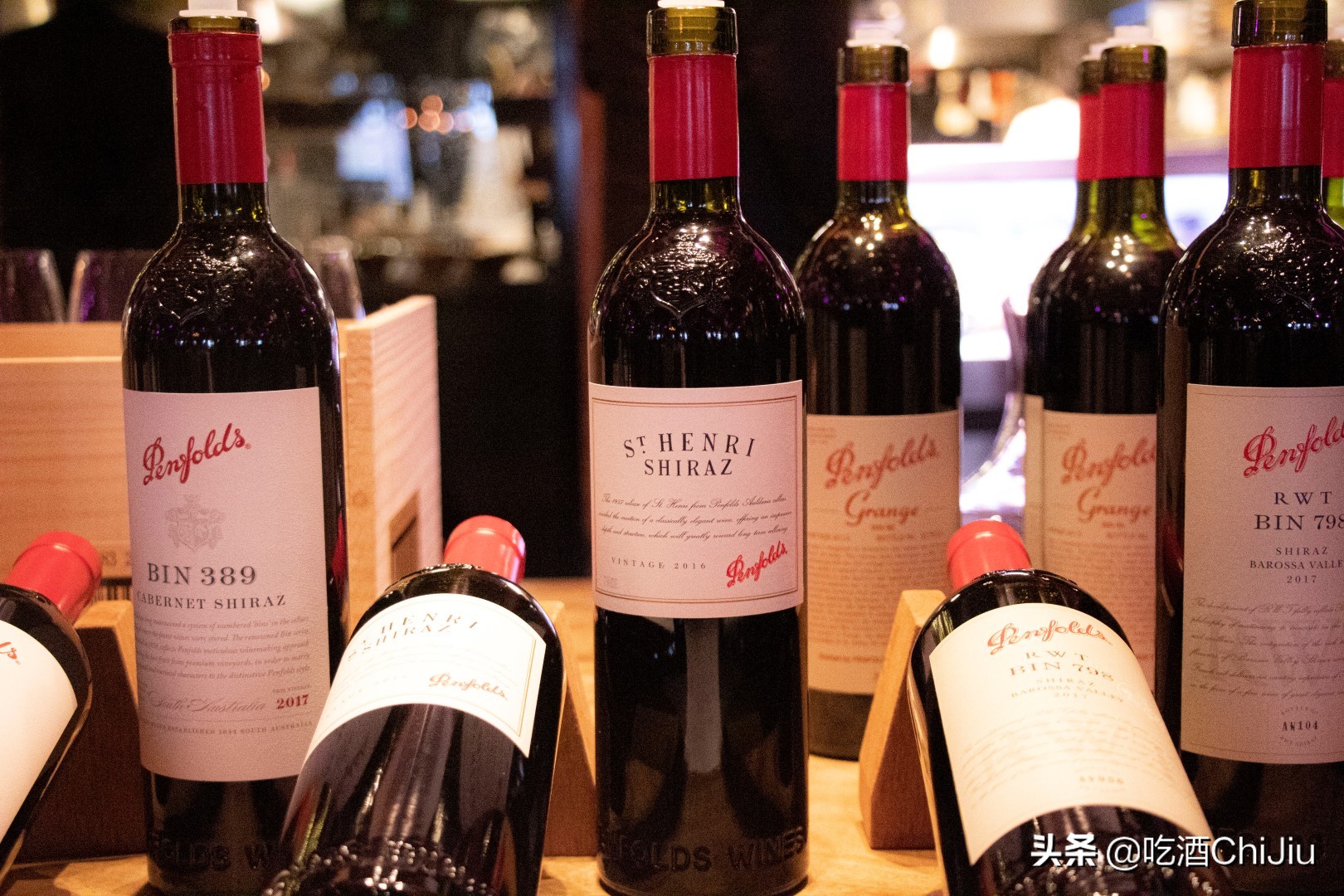 奔富红酒发展前景,奔富红酒属于什么系列的