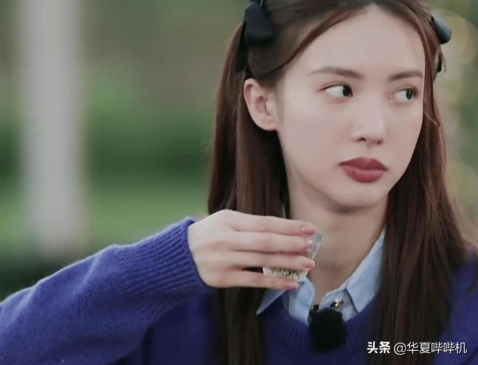 大飒蜜介绍,大飒蜜是哪个明星