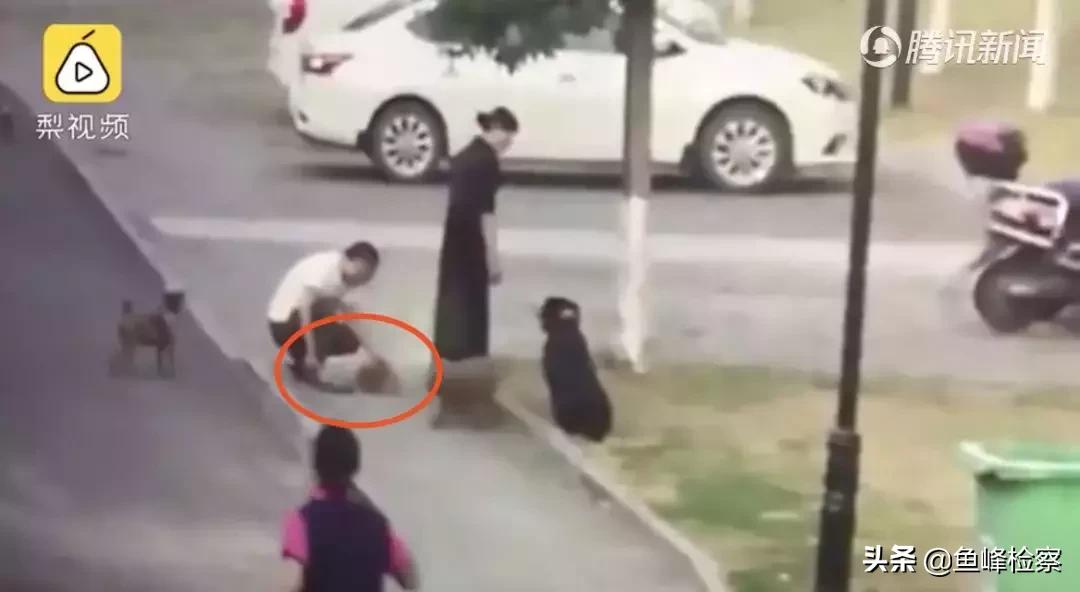 遛狗不牵绳又惹祸！男子遭狗撕咬*体下**被缝30多针……视频触目惊心