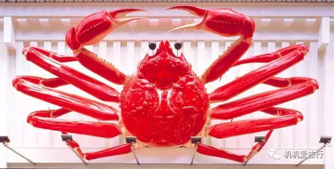 5月宝宝5天4晚日本大阪亲子游记