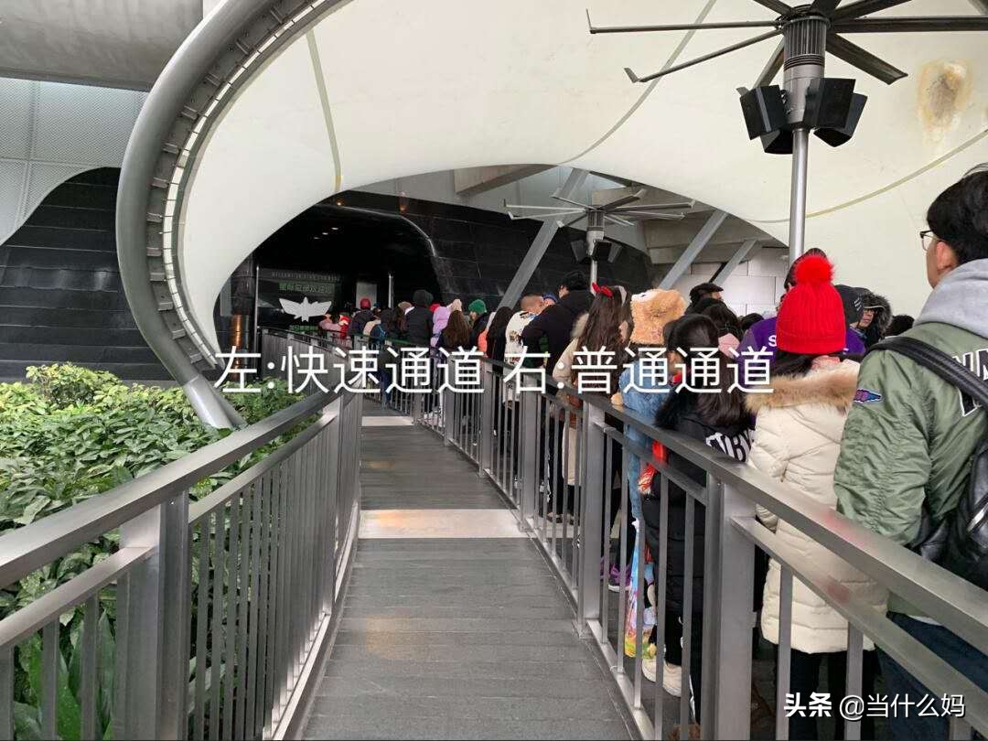 带宝宝去上海迪士尼，要不要多花上千元买vip？看看我的建议