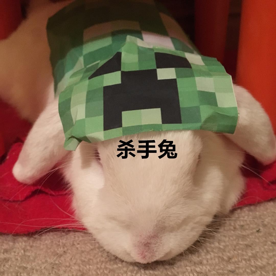 我的世界mc玩家们在池塘里养青蛙,我的世界养宠物模组推荐