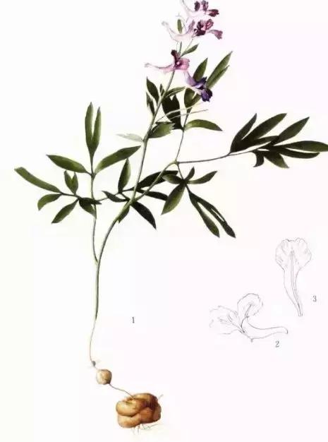 秦地无闲草,秦地无闲草作用