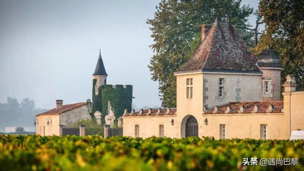 奢侈名酒葡萄酒,奢侈级别红酒