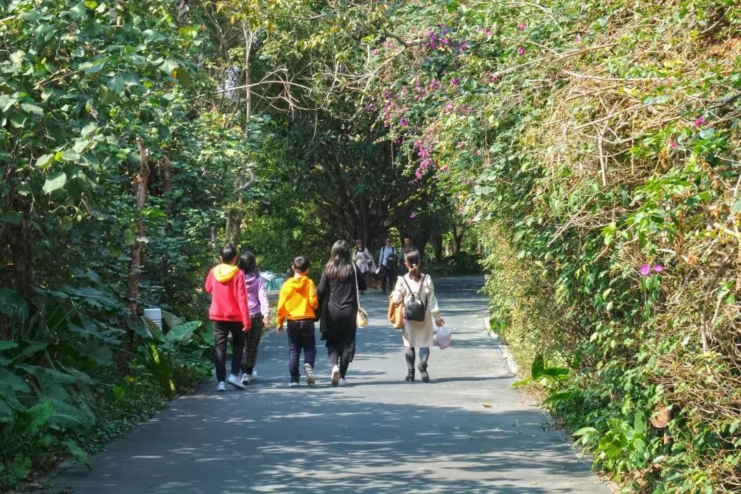 如今的世界之窗,介绍世界之窗