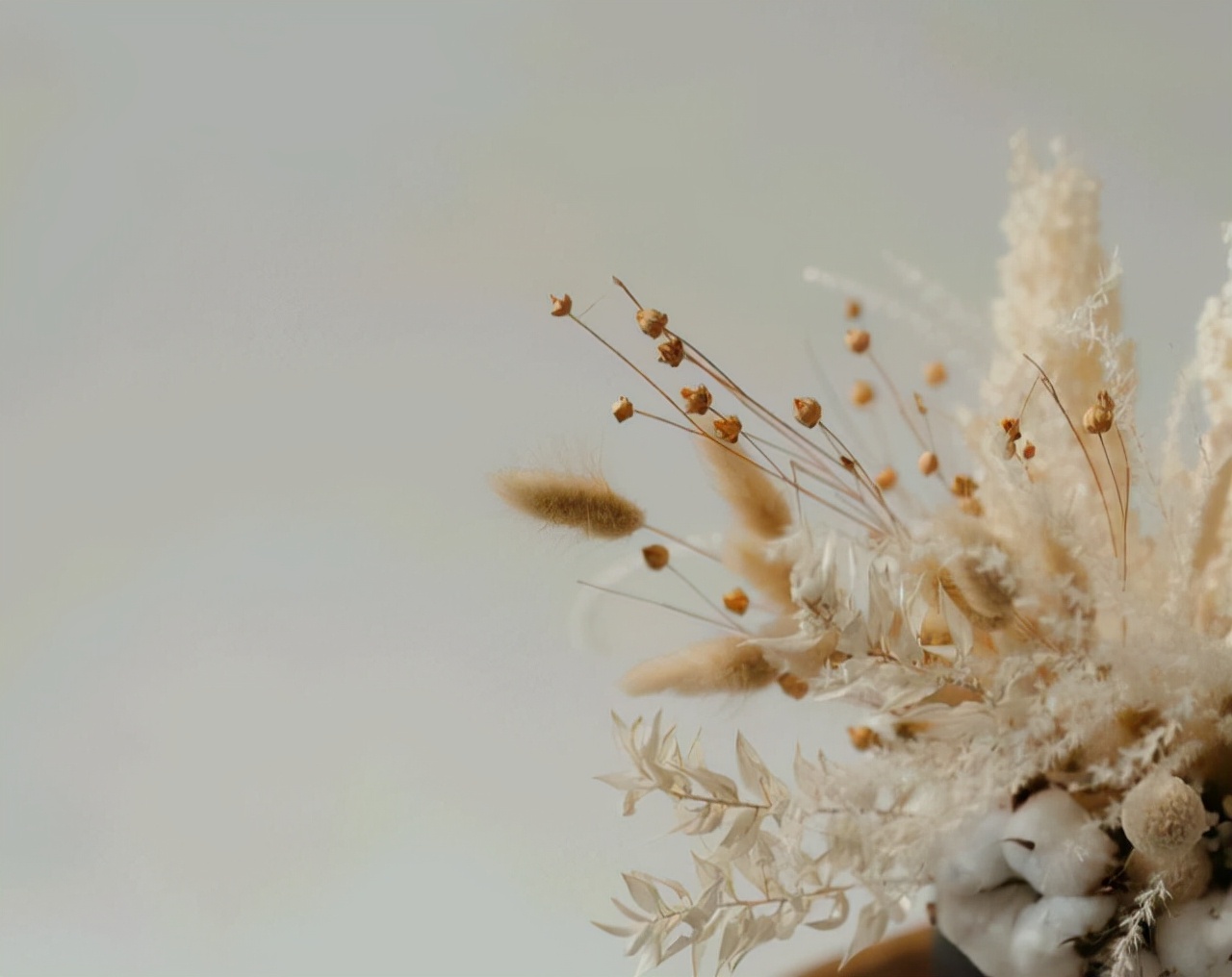 水瓶座和狮子座的爱情能长久吗,月亮星座水瓶座与月亮星座狮子座