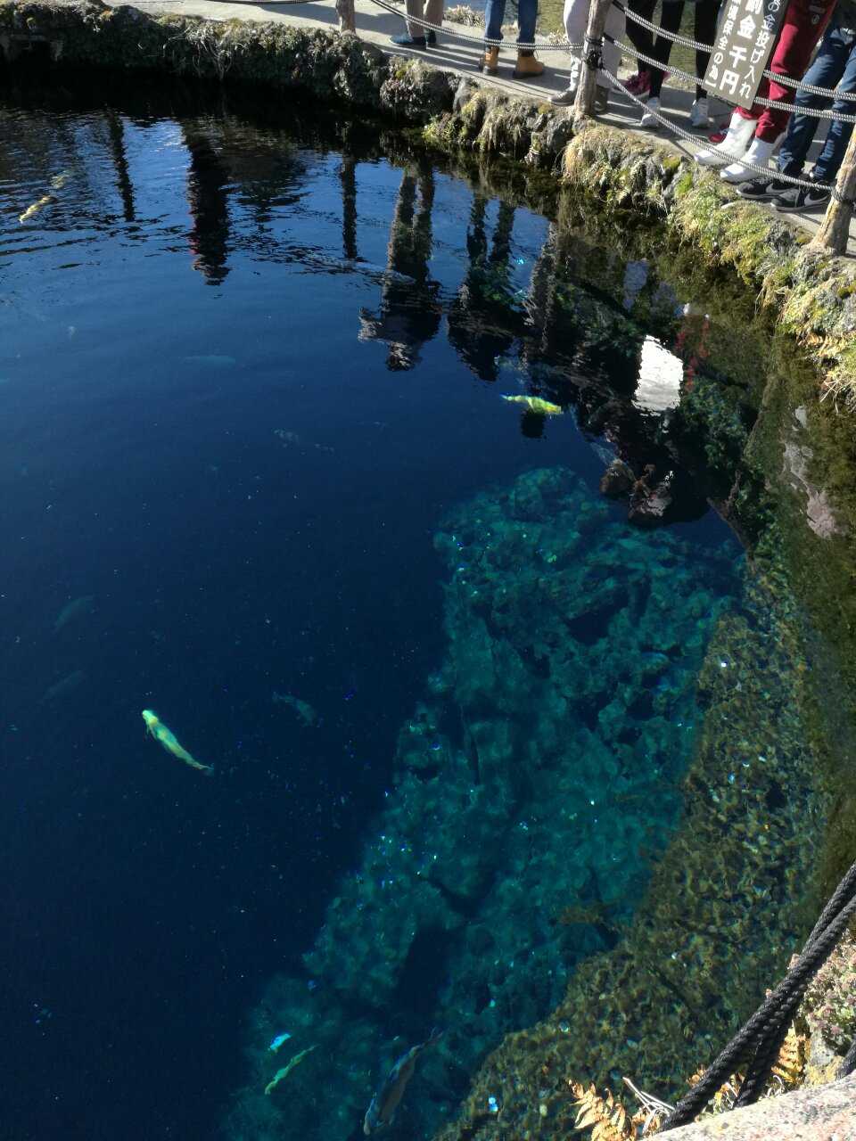 2016日本游照片,2016日本之旅
