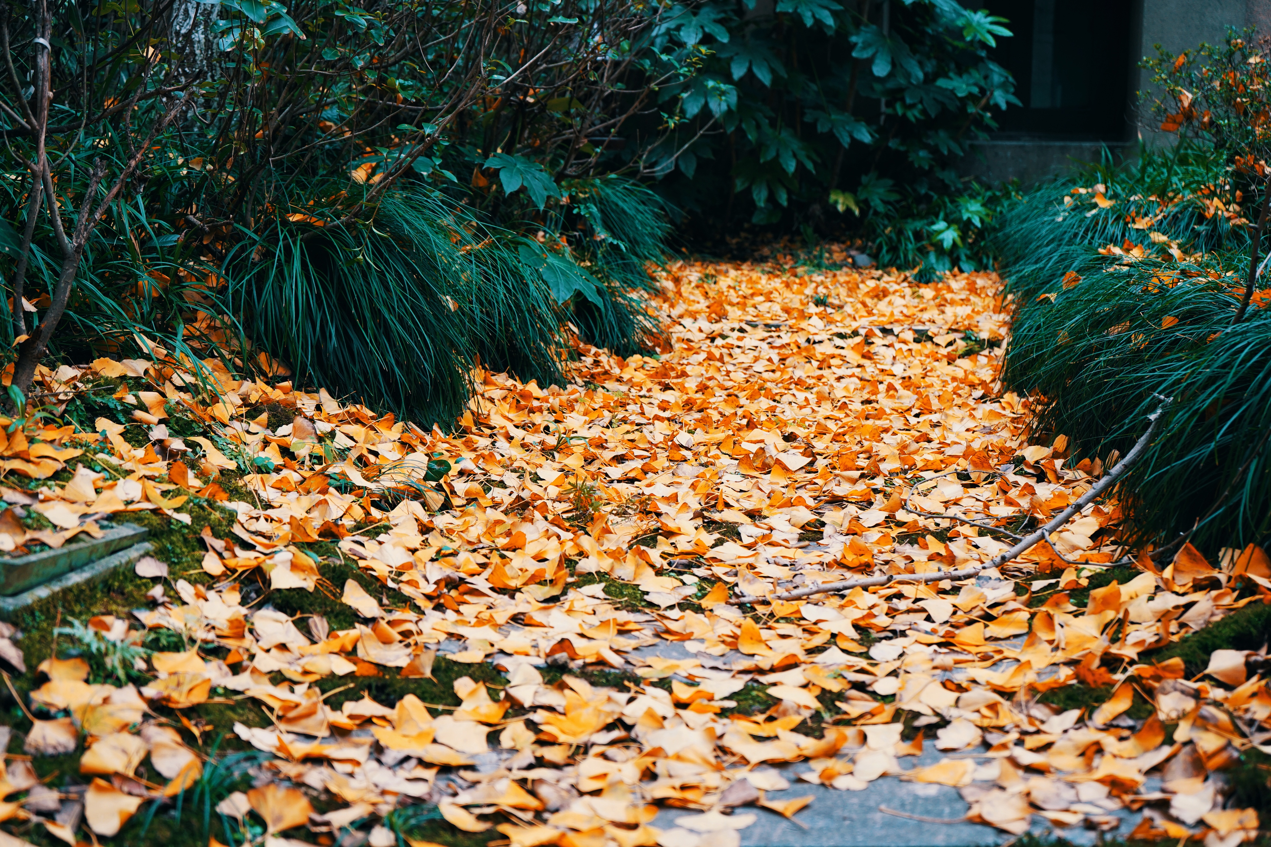 良渚君澜双人温泉,冬日暖阳泡温泉