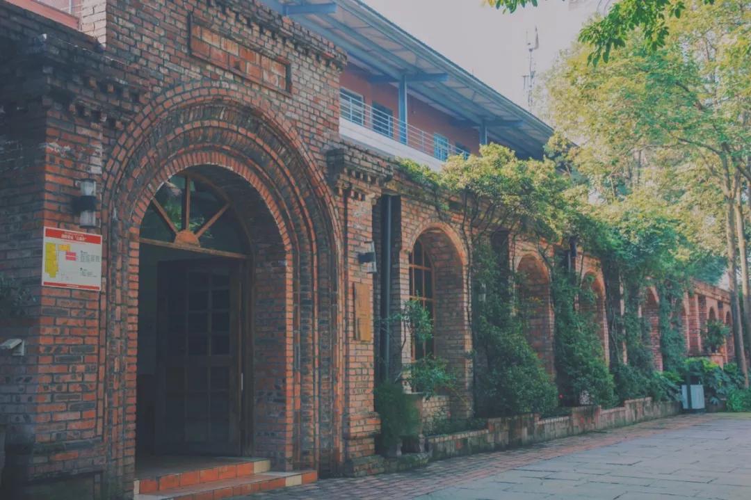 四川国际标榜学院的王牌专业,四川国际标榜职业学院网红