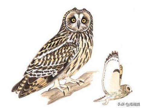 山海经西山经全集,山海经第二部分全文