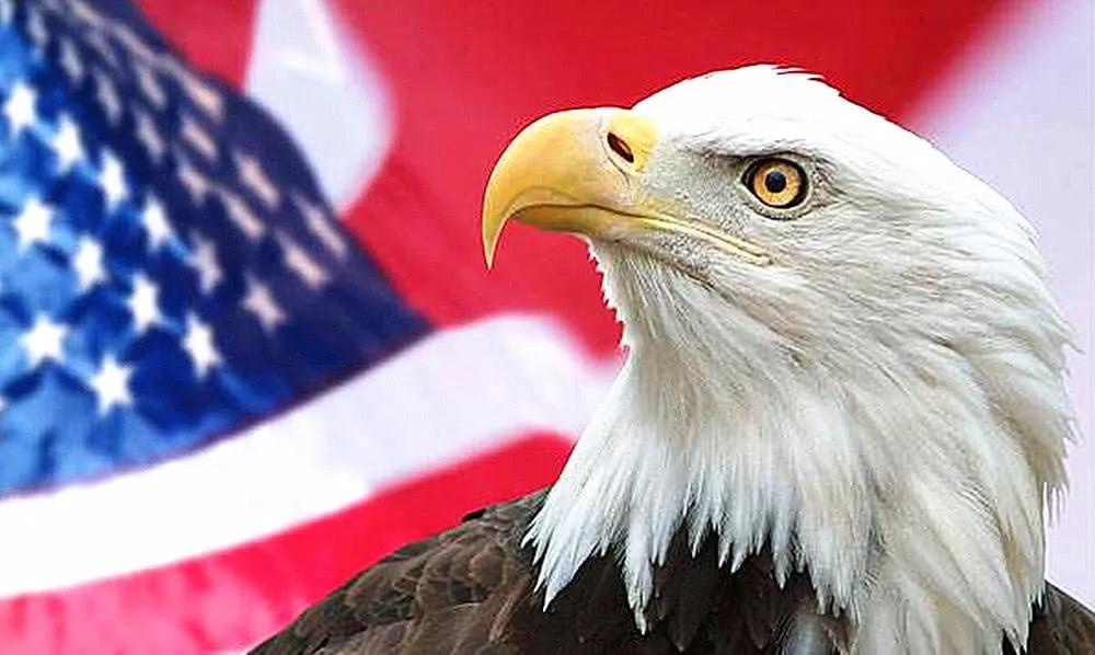 世界各地的图腾代表图片,世界各个国家的图腾分别是什么