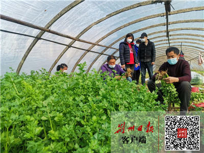 生鲜农产品基地社区直供模式,农业产地直供运营模式