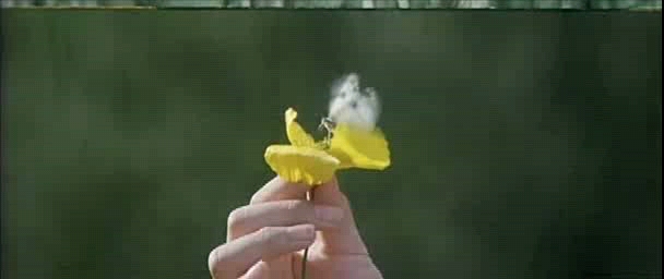 《紫日》紫色,代表太阳快落山了