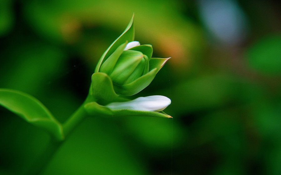 面对陌生客户怎么办,销售拜访高层的谈话技巧