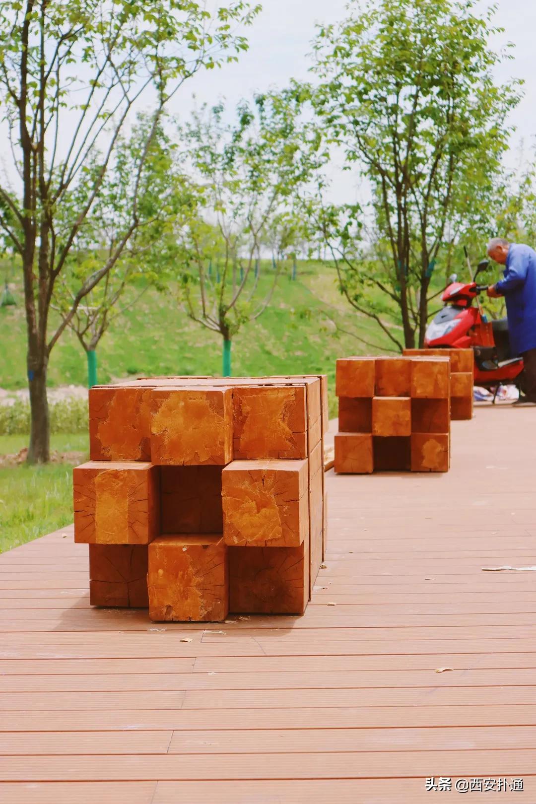 西安大草坪公园推荐,西安有大草坪的公园