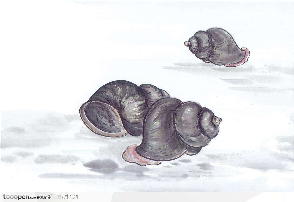 田螺是用油泡着还是用盐,田螺用肺呼吸吗