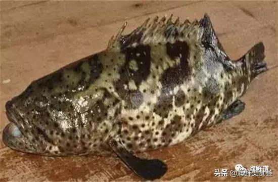 十种最美味海鲜,100种常见海鲜大全图