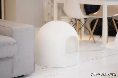 李佳琦叫卖都不管用！双十一猫咪用品这些坑得避