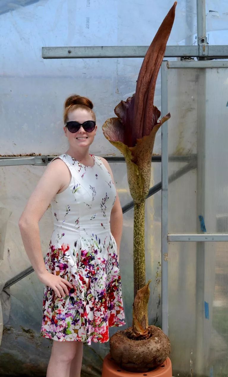 扒一扒瘦身,扒一扒所谓的美白圣品谷胱甘肽