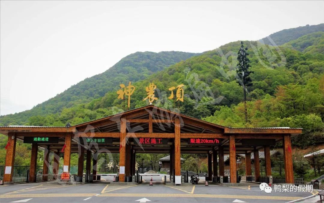 自驾车游遍中国之（一）——世界那么大，我想去神农架