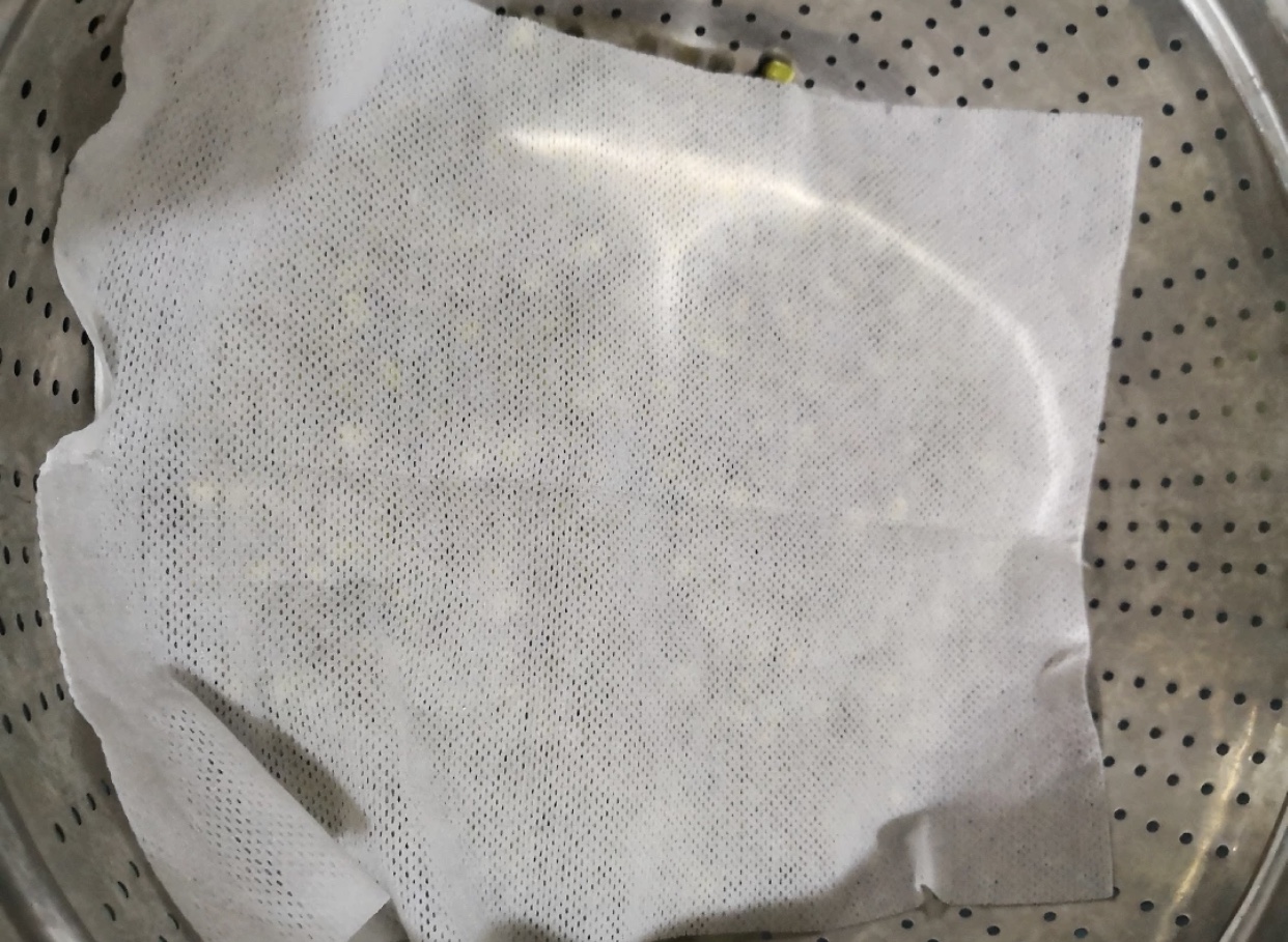 生豆芽温度高长根还是温度低长根,生的豆芽烂是怎么了