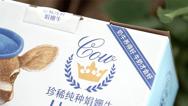 千万网红推荐的牛奶真的好喝吗,网红最好喝的纯牛奶