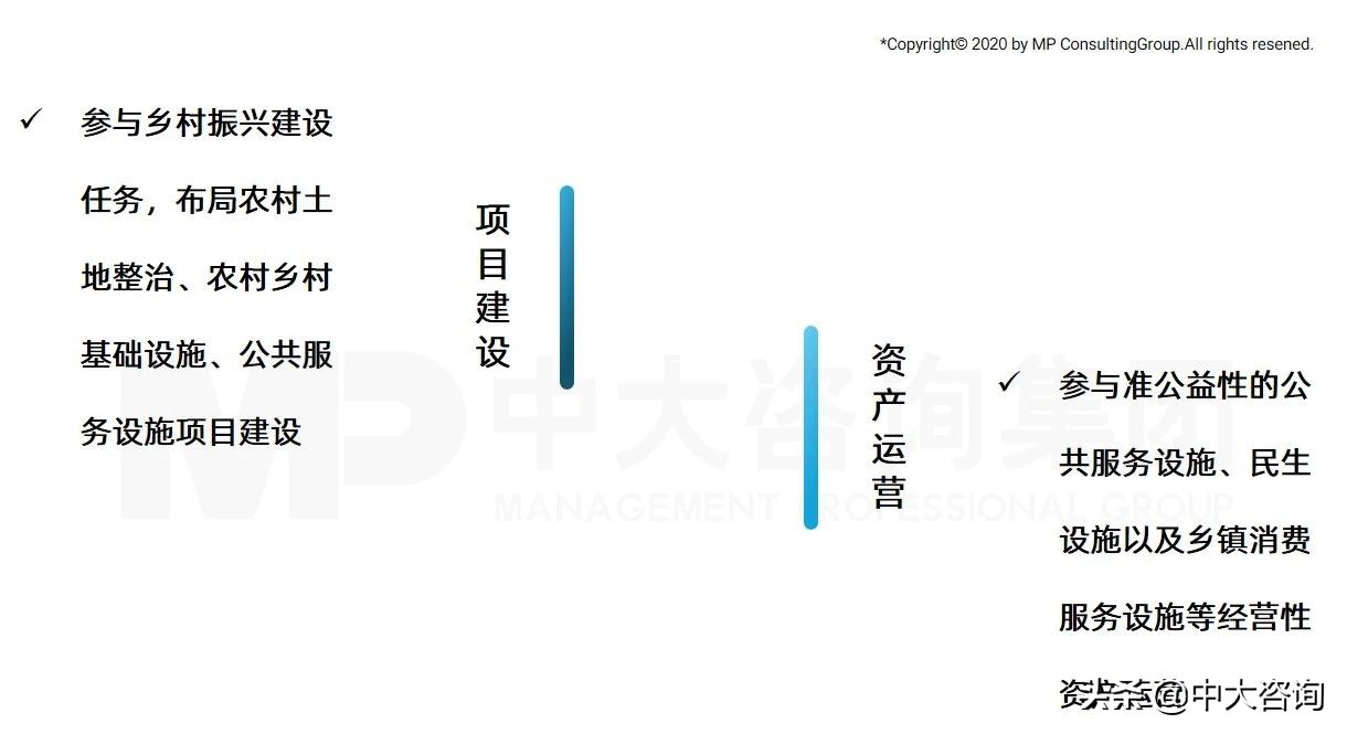 中大咨询：全面推进乡村振兴，平台公司这么干
