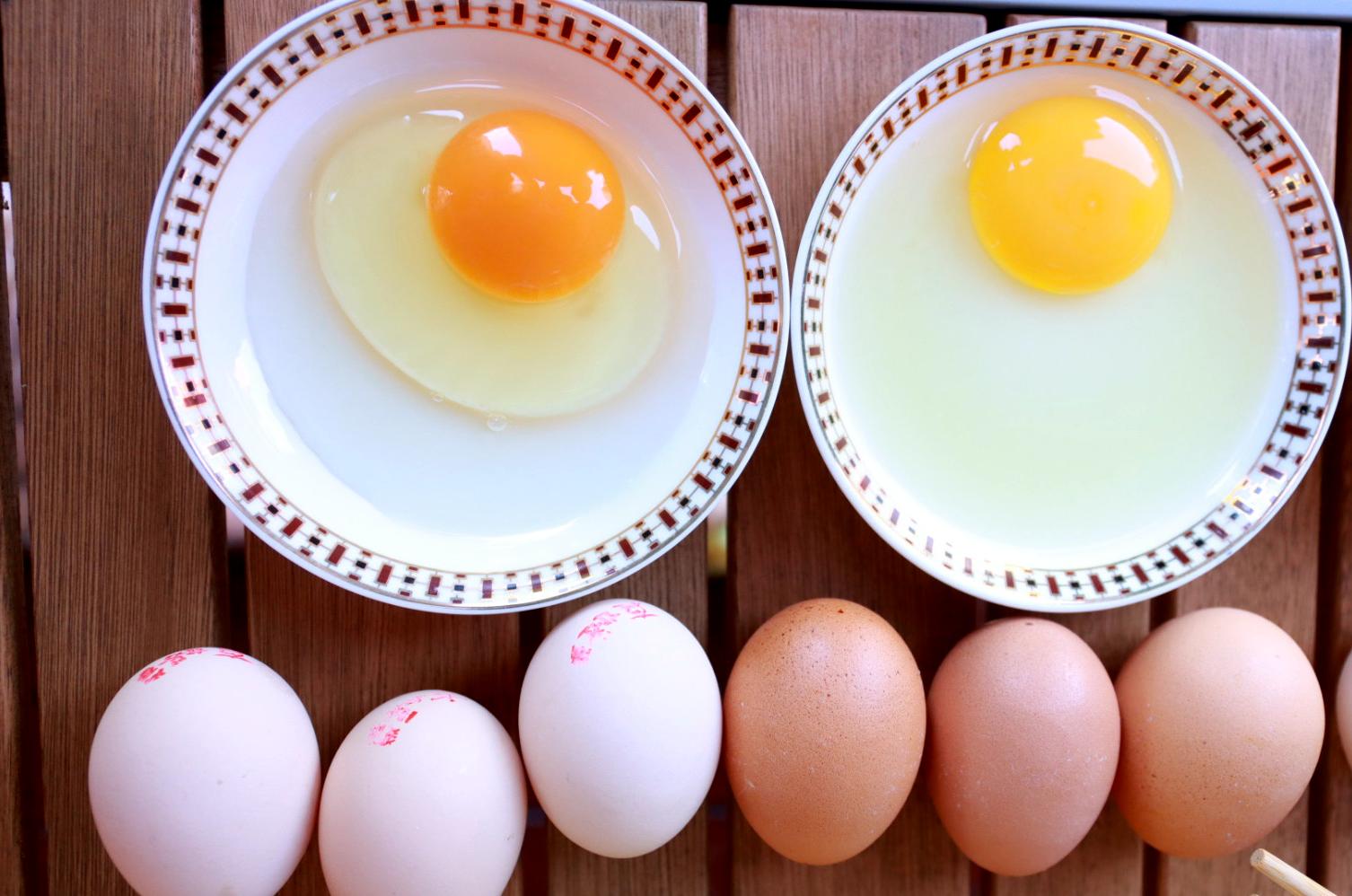 走进乡村看振兴,小鸡蛋撑起乡村振兴大产业