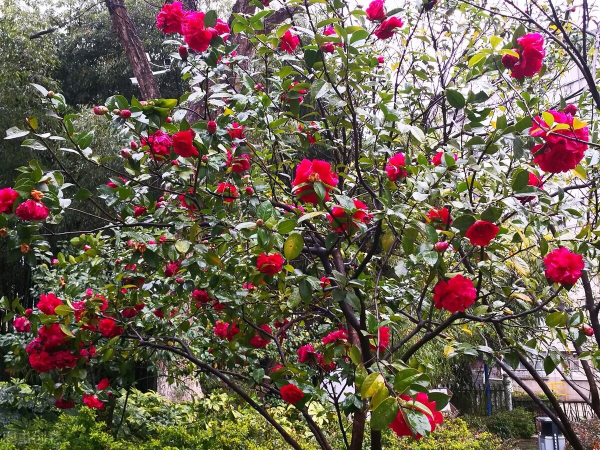 昆明市内游玩好去处 (云南昆明最值得玩的地方)