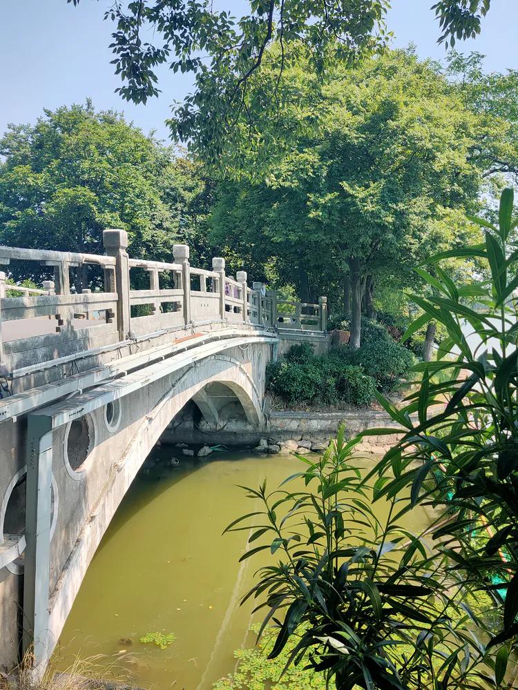 曾作为禁地，与外界隔绝二百六十多年的“玄武湖”，今日锣鼓喧天