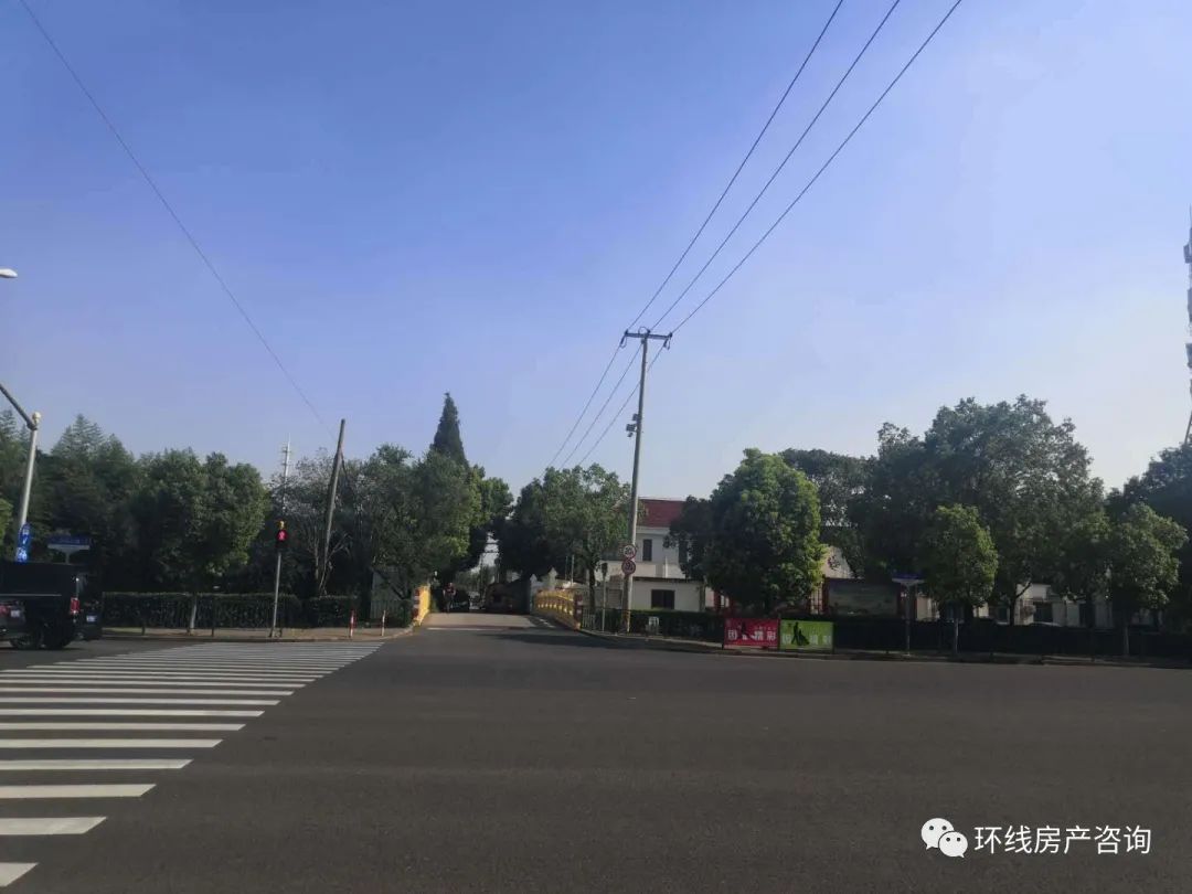 川沙值得买吗,川沙卖观赏鱼