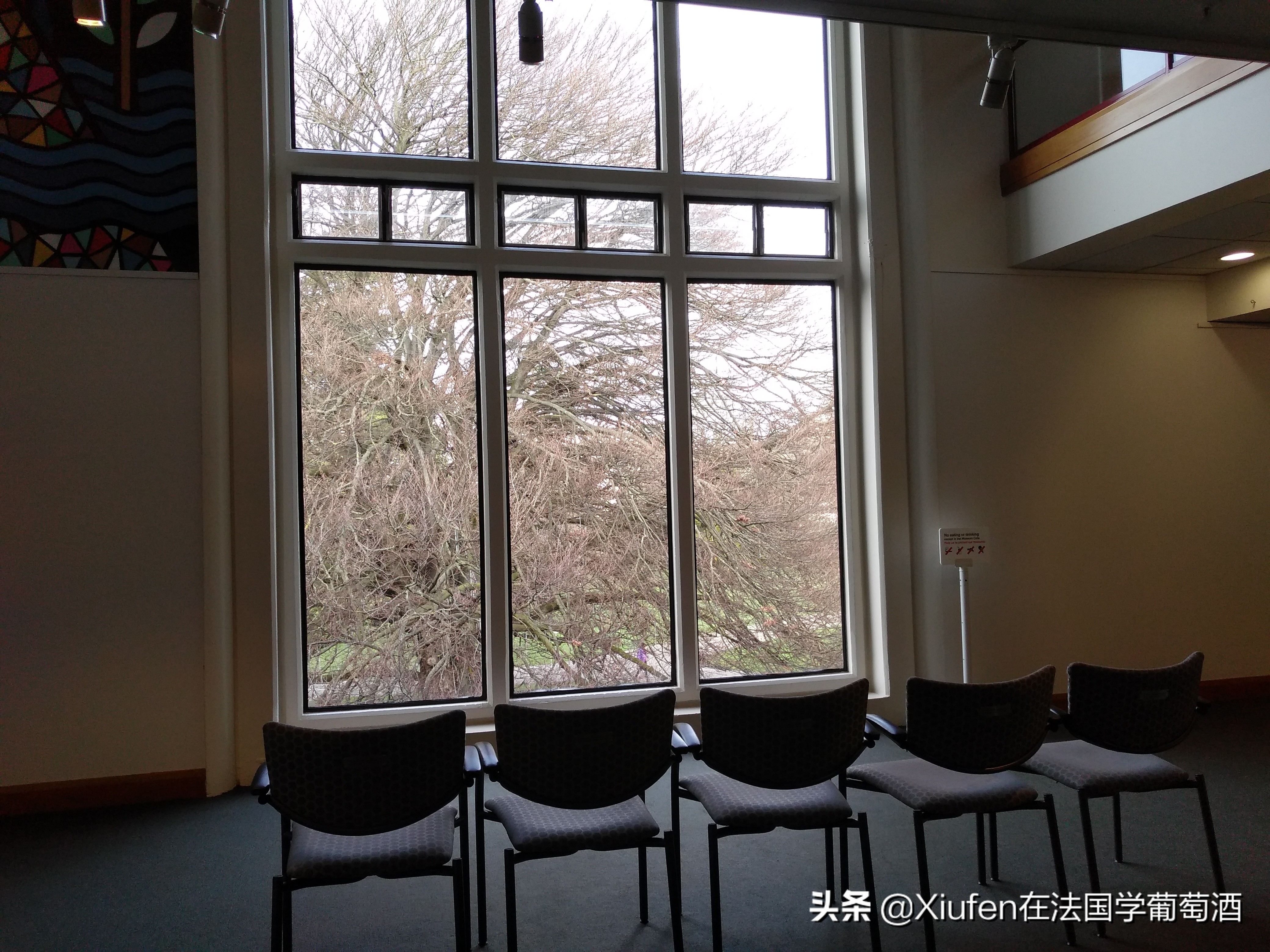 新西兰基督城城市风景,新西兰基督城风景漫步