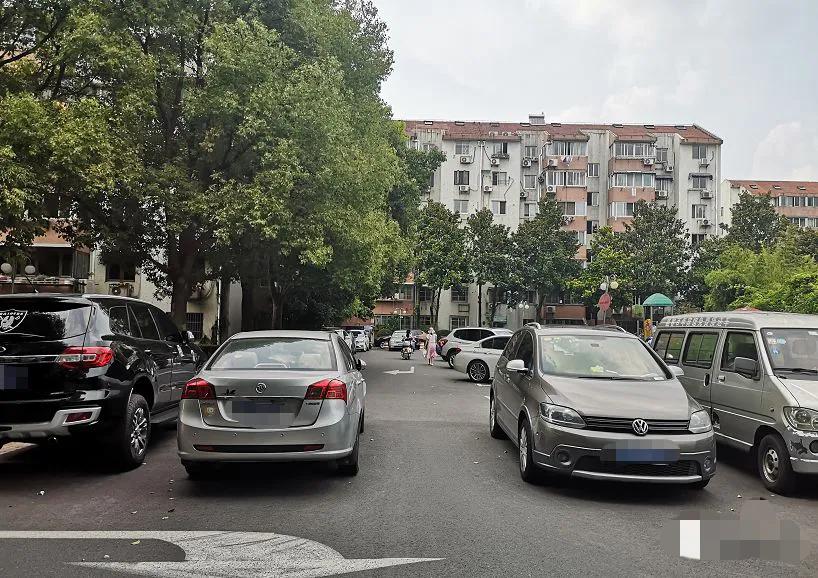 南京经典豪宅,南京开售前的顶级豪宅