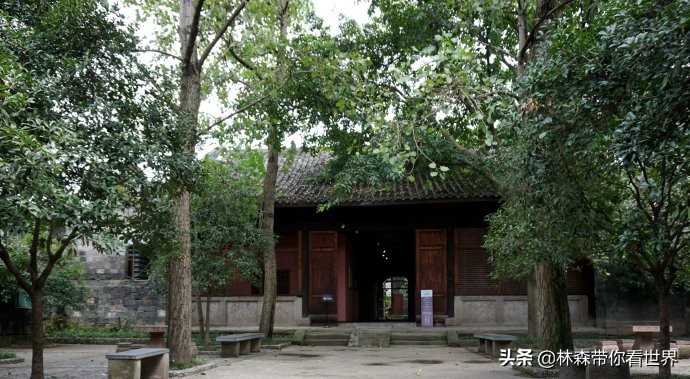 林森完整版免费观看,林森完整视频