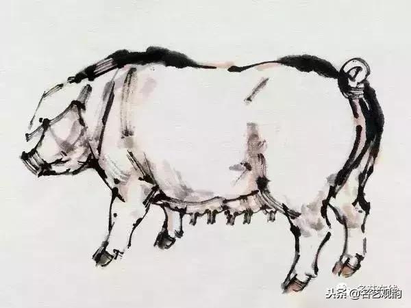 小朋友画猪简单又好看,猪年画猪中国画