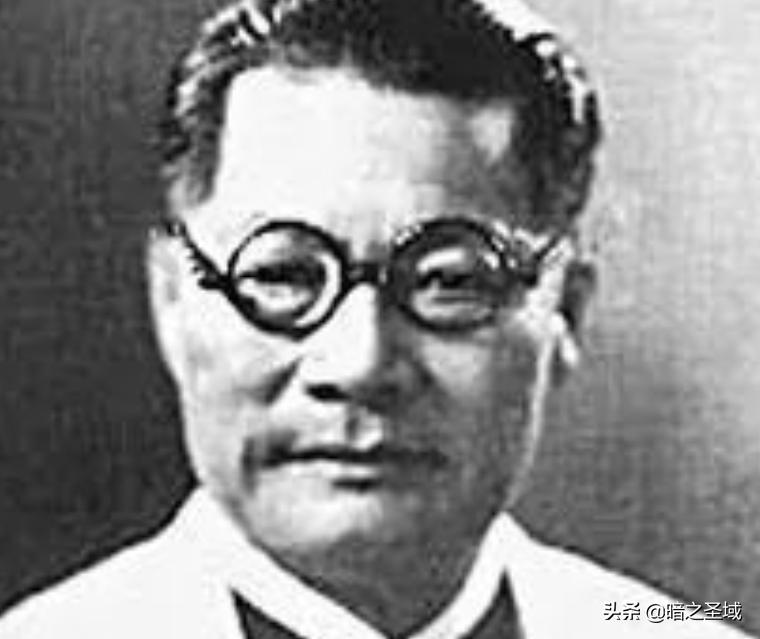 中国抗战实录1937到1946,华侨抗战