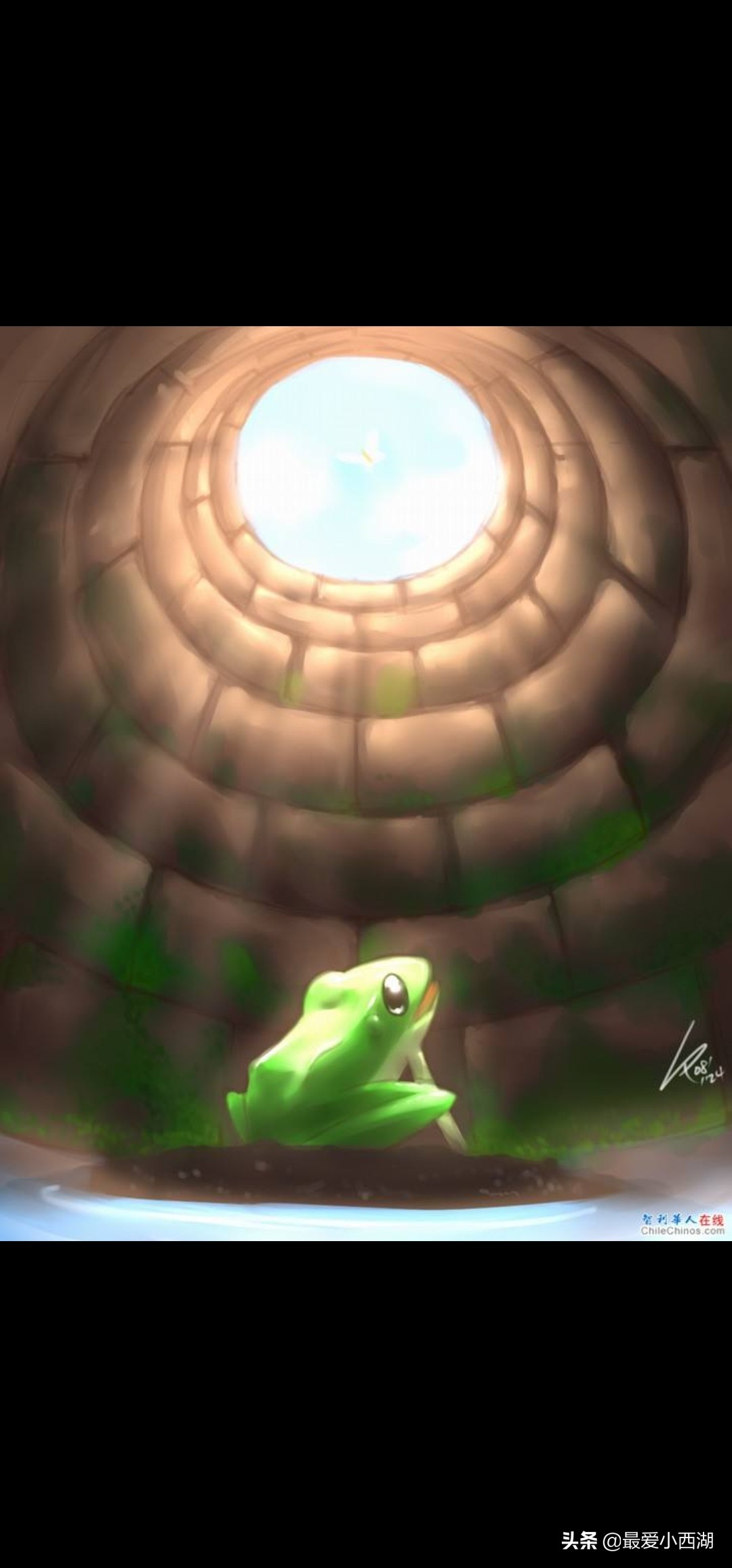 我的自媒体之路是什么梗,我的自媒体之路爆款