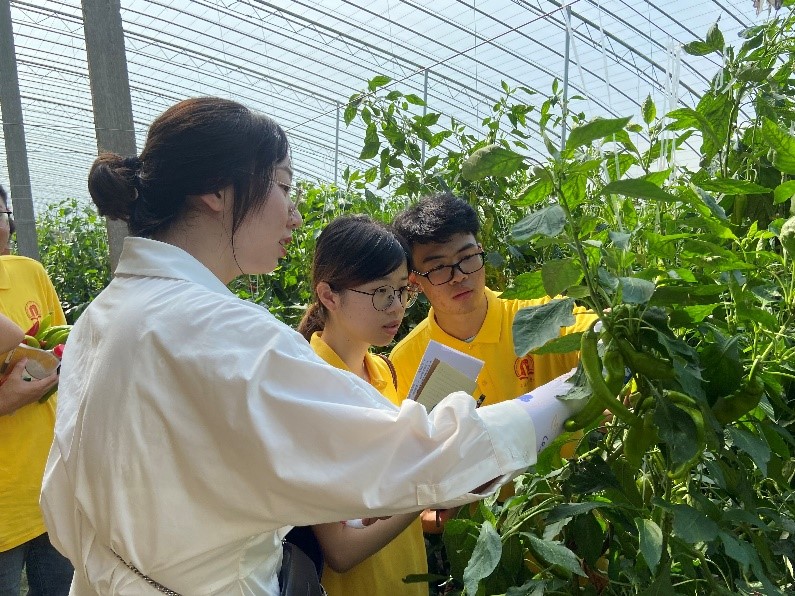 数字赋能助力乡村全面振兴三下乡,南阳理工学院三下乡社会实践