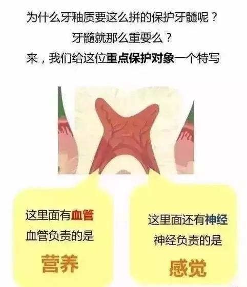 怎么判断各种牙痛,牙痛视频分析