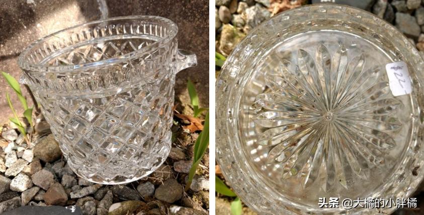 小金毛被遗弃到垃圾桶,小金毛生病被遗弃