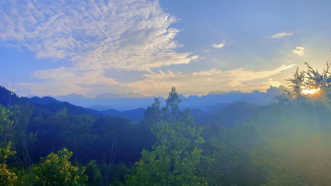 春树影舍畅享年卡，电影酒店+民宿，七夕送爱奇艺年卡会员等豪礼