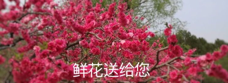 《我们永远是祖国的兵》（一）庆祝八一建军节93周年联欢晚会实况