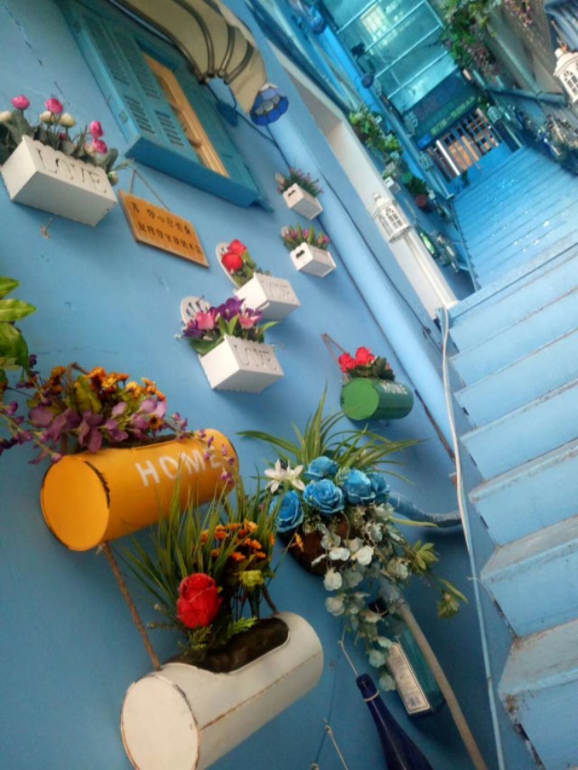 被网红啪啪打脸！你到底能做什么