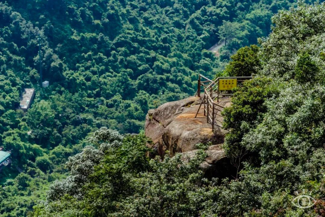 放假在深圳能去哪里玩,放假了可以去深圳的哪些地方玩