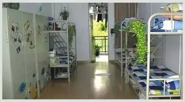 有一种骄傲叫我是中国人音乐,有一种骄傲叫我是中国人的图片