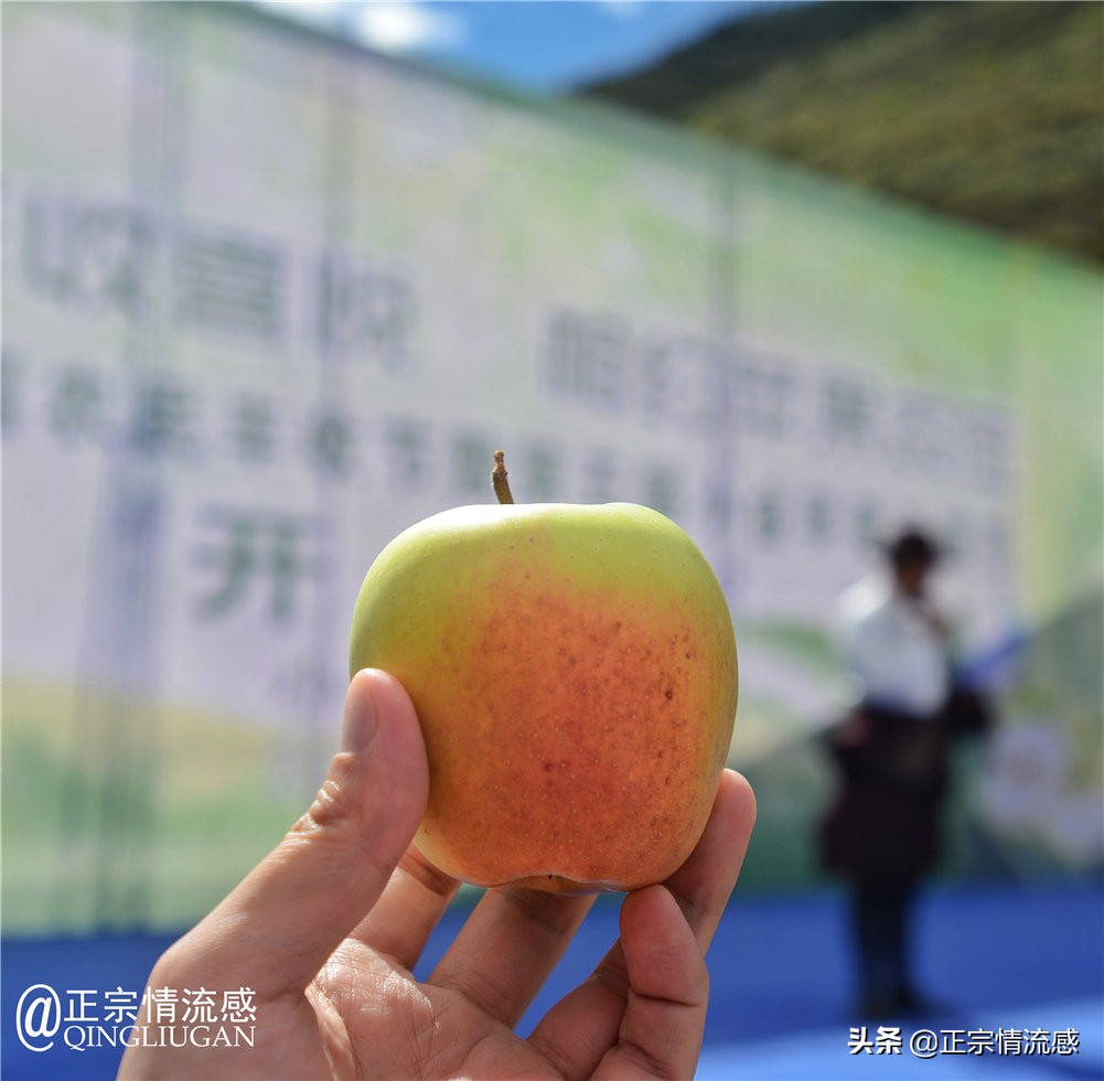 夜色成都串串爽,魅力小金苹果香#国庆中秋趣哪玩#