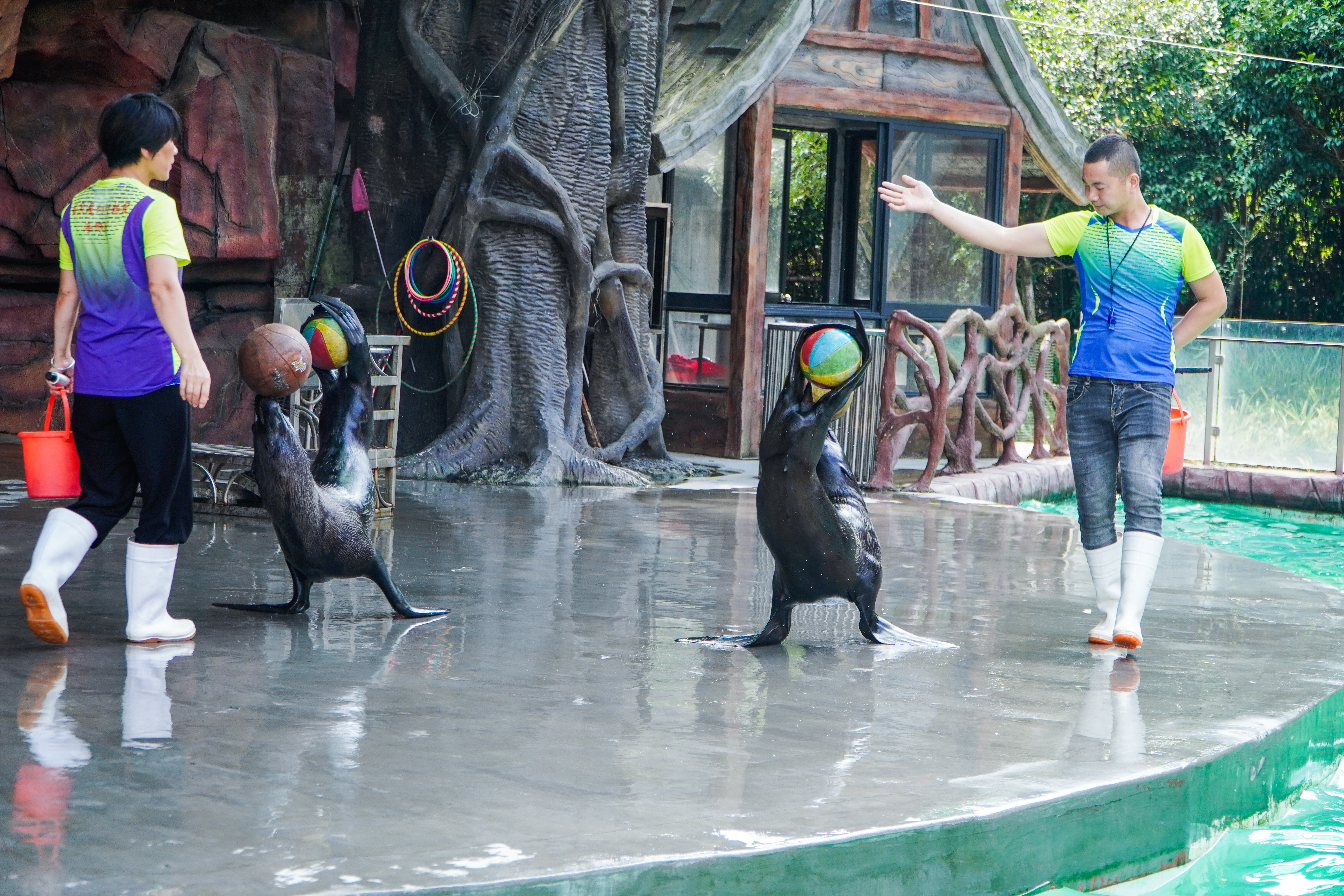 安吉田园嘉乐比乐园一日游攻略,秋季安吉旅游攻略图文并茂