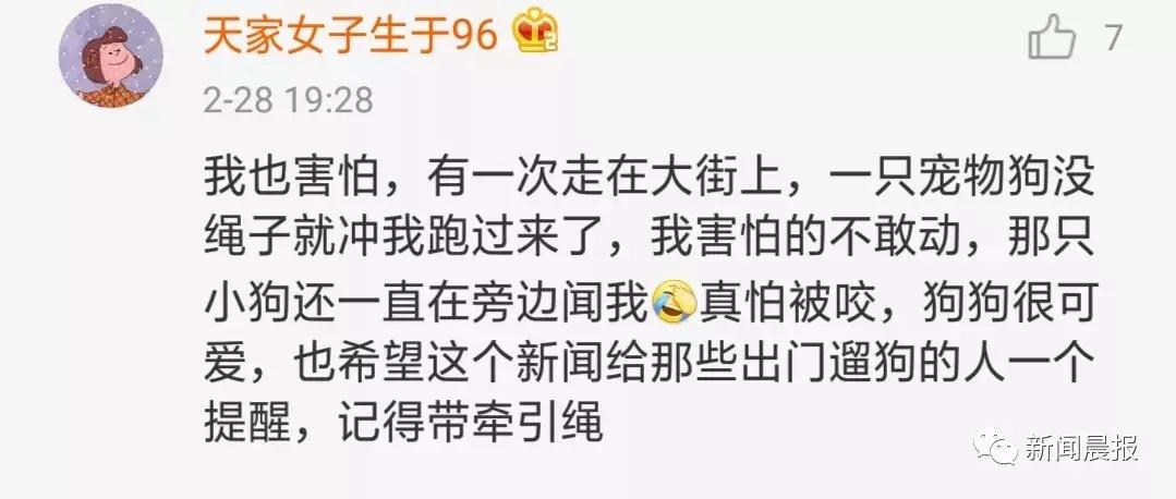 赔了20万！狗狗只是起身走了两步，老人摔成9级伤残！网友炸锅…