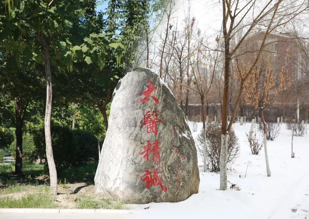 辽宁中医药大学杏林学院独立学院,辽宁中医药大学三个校区