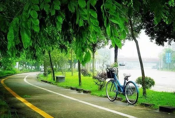 干货丨在广州来这拍照就对啦,制霸朋友圈从今天开始